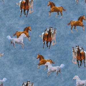 Softshell, horses, light blue, NANO softshell,