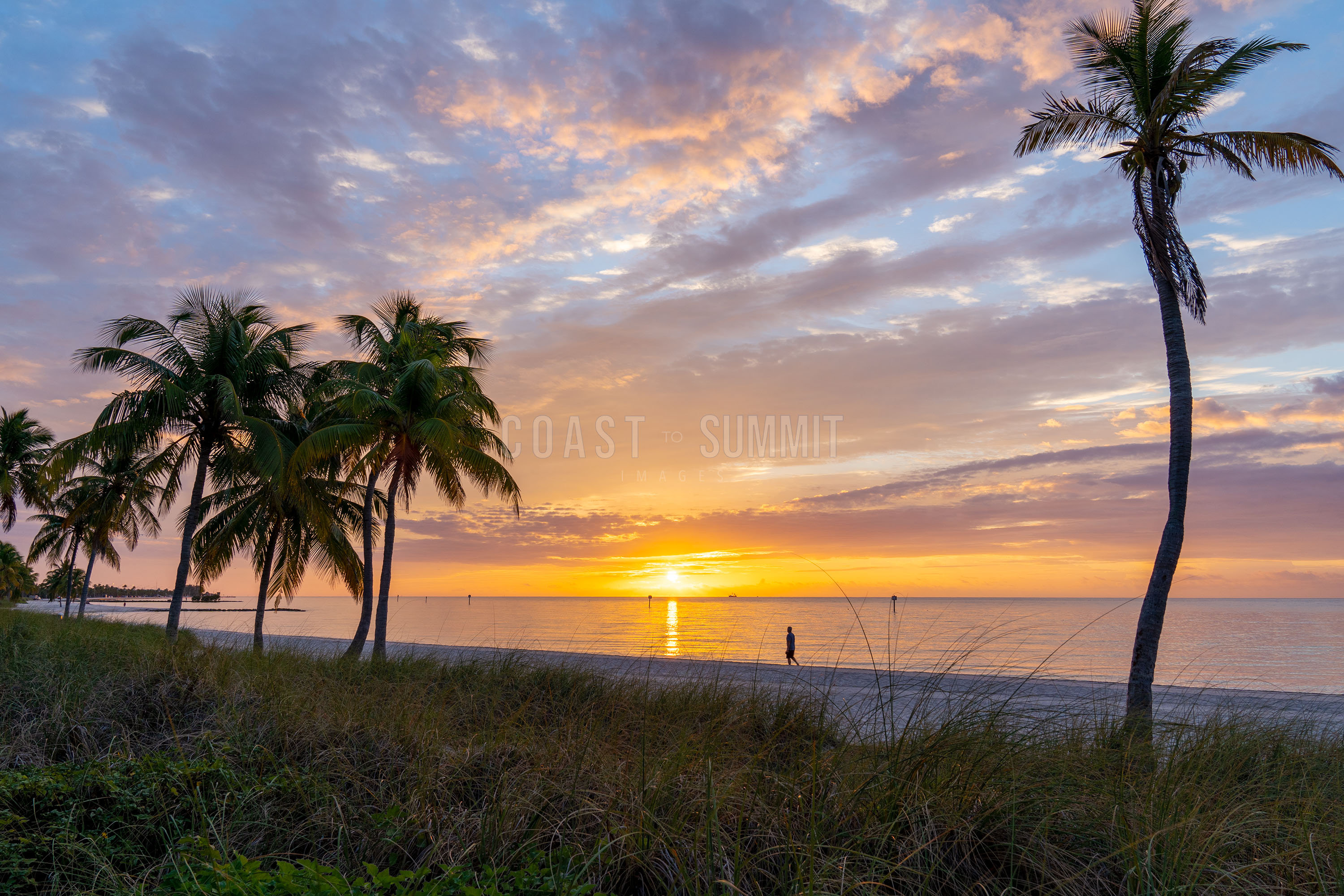 Father's Day – Sweet Things, Sunrise, Florida