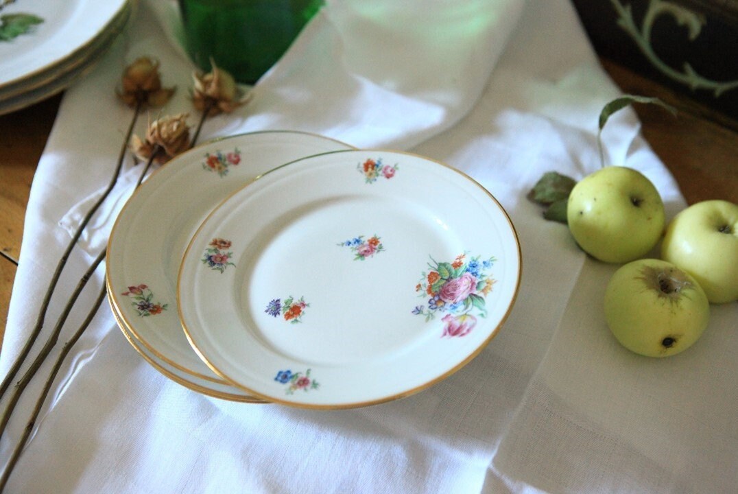 Assiettes à Dessert Françaises en Porcelaine de Limoges