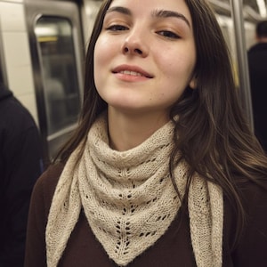 May include: A beige knitted shawl with a triangular shape and a delicate openwork pattern. The shawl is worn over a brown top. The background shows a subway car interior.