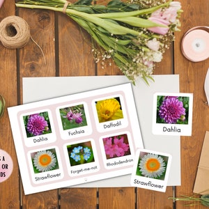 Flower Flash Cards printable real floral Image flash cards 12 types of flowers Botanical Homeschooling Montessori Early Education Resources