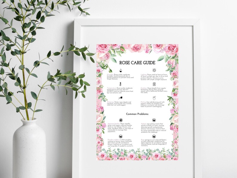 Tips For Roses Poster Rose Plant Care Guide – Printable Gardening Poster (digital Download ...