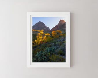 Puede incluir: Fotografía enmarcada de un paisaje de montaña. La imagen presenta dos grandes montañas oscuras con un valle en medio. Árboles de color amarillo dorado y plantas verdes llenan el primer plano. El cielo es azul claro.