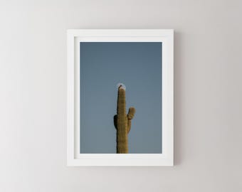 Stampa di luna con cactus Saguaro, arte murale minimalista del deserto, fotografia di paesaggi dell'Arizona