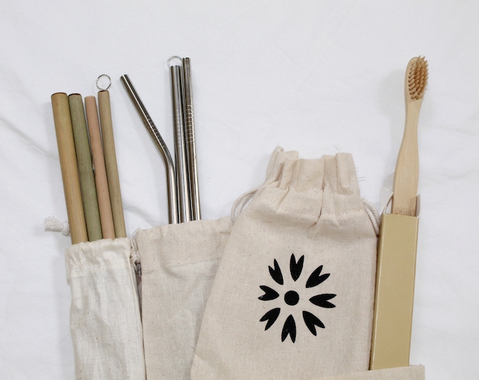 Eco Friendly Starter Kit: Bamboo & Stainless Steel Straws, Toothbrush