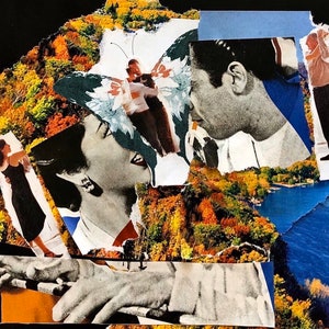 butterfly lovin&#39; - collage print