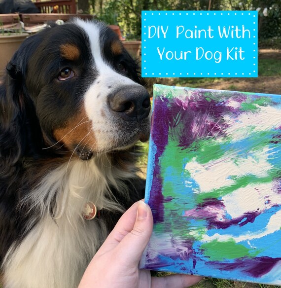 Paint With Your Dog DIY Kit For Dog Lovers painting / arts Etsy