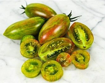 Lucky Tiger Tomato Seedling - Colorful Tomato - Rare Tomato