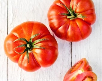 Red Brandywine Tomato Seedling - Beefsteak Tomato - PRE-Order Spring 2026!