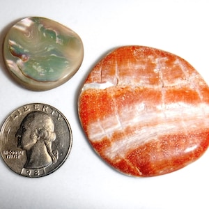 Pacific Abalone Lot, Cabochon, Polished Shell, 2 pc, Cut, 1.1 oz