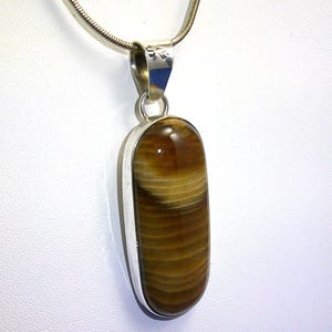 Petrified Palm Wood Pendant, Unique, Sterling Silver, Rounded Oblong Shape, Wavy Bands, Hues of Brown, 11.5g