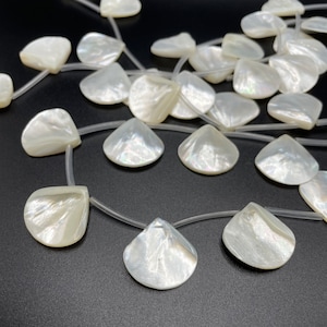 25x25mm Fan Shell Beads White Shell Beads Mother Pearl Shell Beads Fan Beads Handmade Jewelry Material Beautiful Beads