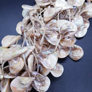 May include: A pile of iridescent white and brown mother of pearl shell beads. The beads are teardrop shaped and have a natural, organic look.