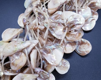 20mm Drop Oyster Shell Beads, Natural Jewelry Making (12pcs)