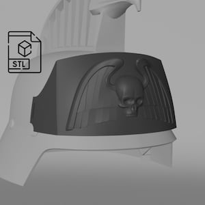 May include: A 3D printed helmet featuring a skull and wings design. The helmet is grey and has a textured surface.
