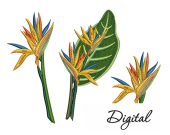 Machine embroidery design Flowers Strelitzia