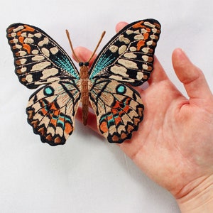 Può includere: Una farfalla ricamata di colore marrone e nero con accenti turchesi. La farfalla è su uno sfondo bianco.