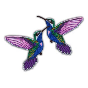 Set di due colibrì colorati specchiati, toppe termoadesive a forma di uccello