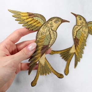 Puede incluir: Parches bordados de colibríes en tonos dorados, marrones y verdes. Los parches presentan diseños detallados de alas y cola, con un aspecto texturizado. Los parches de colibríes son ideales para añadir un toque decorativo a la ropa o accesorios.
