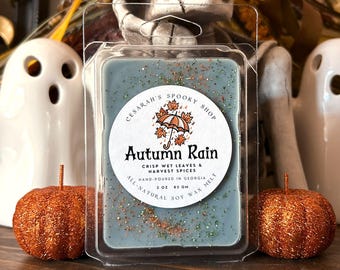 Autumn Rain Wax Melts: Crisp Leaves & Harvest Spice, Fall Home Decor