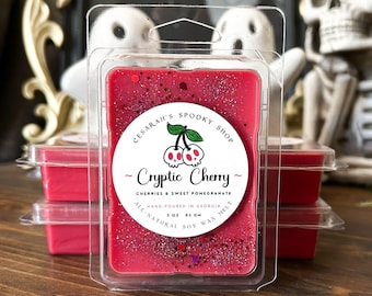 Cryptic Cherry Pomegranate Wax Melt - Spooky Scented Wax Melts - Springoween - Halloween Wax Melts - Spooky Spring - Halloween All Year
