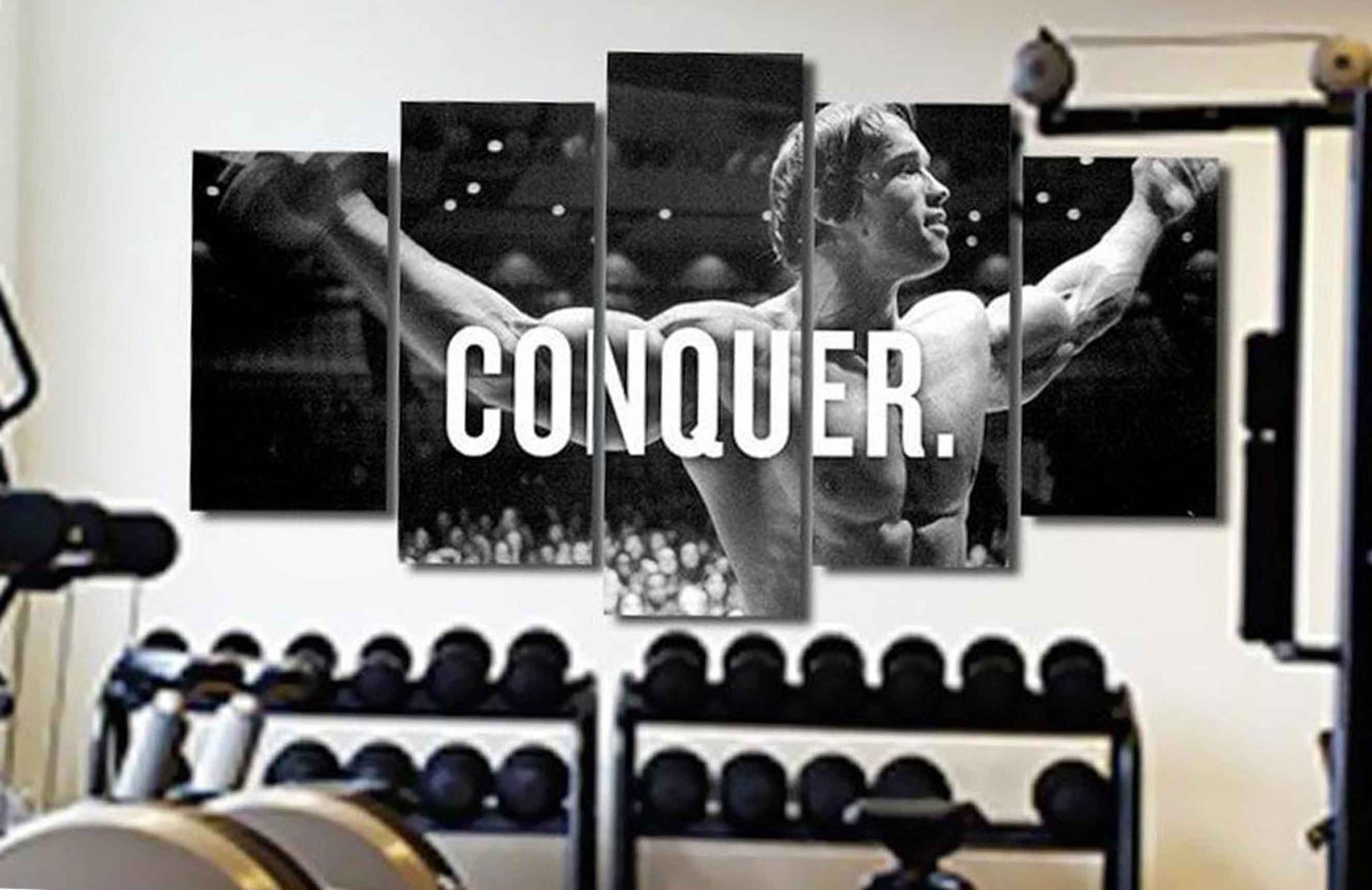 arnold conquer arnold conquer