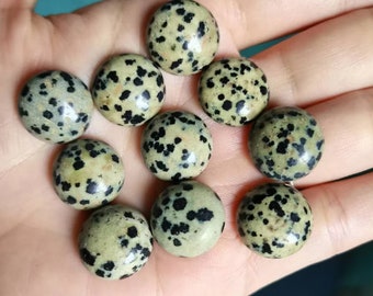 May include: A collection of ten round, polished dalmatian jasper cabochons. The cabochons are a light green color with black spots.