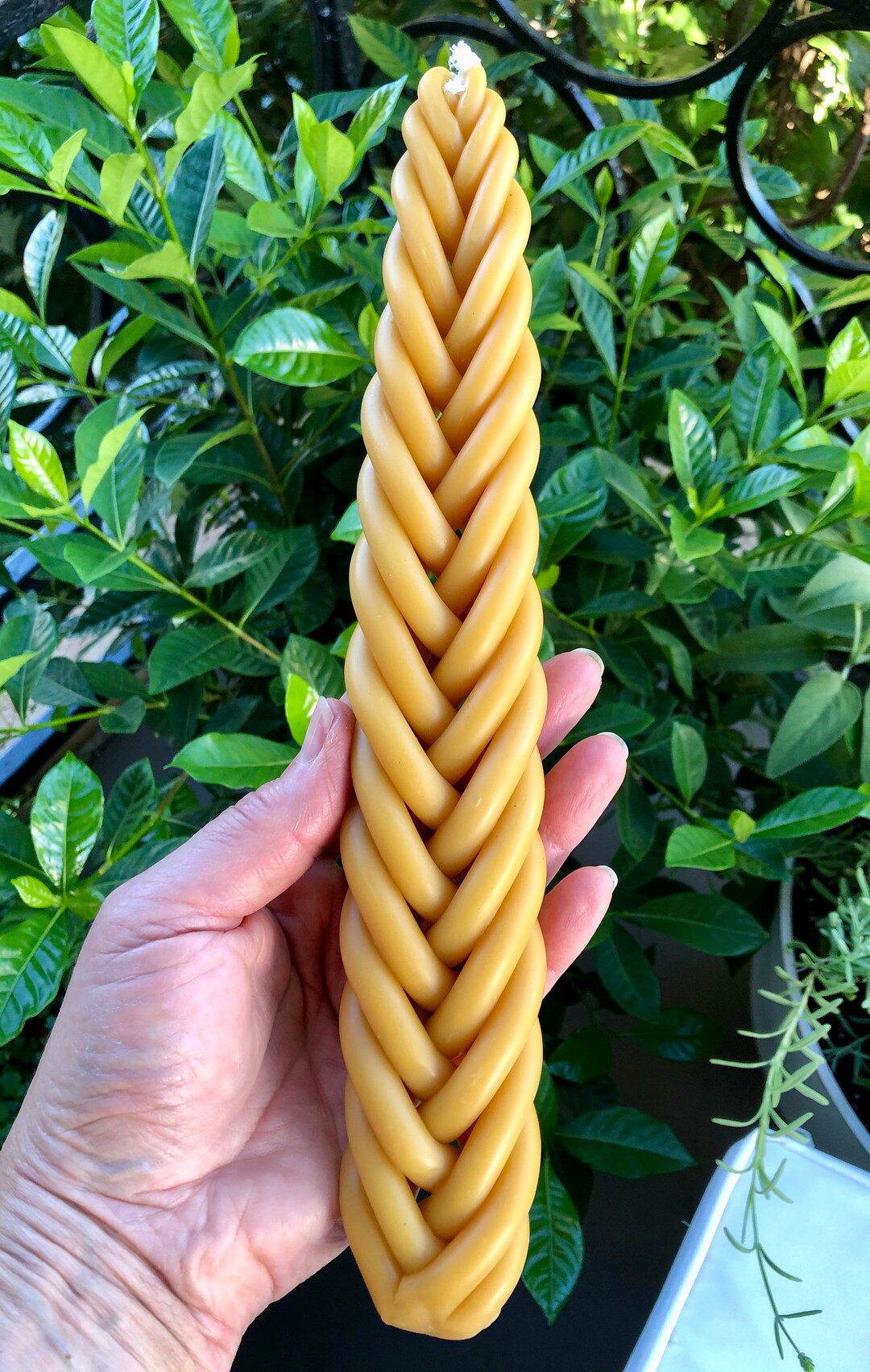 7wick Natural Beeswax Havdalah Candle with or Without Herbs Etsy