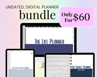 Digital Planner iPad Goodnotes, iPad Budget PlannerBiweekly Budget Planner Weekly Budget Planner Undated Planner Lag Free