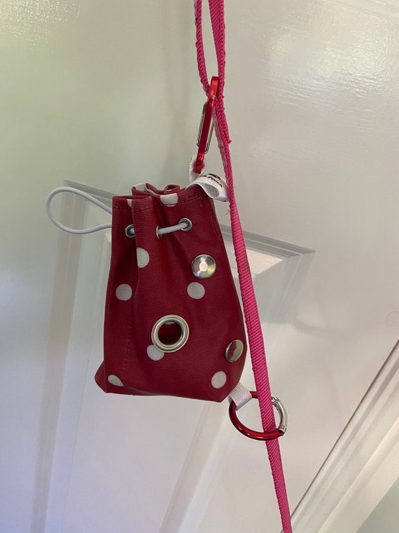 posh pooches walking dog