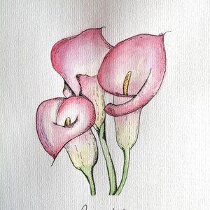 Watercolour Calla Lily Painting Framed or Unframed