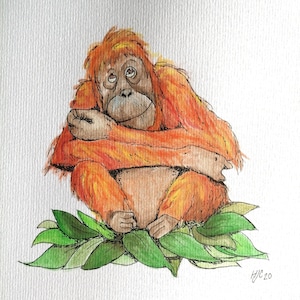 Watercolour Orangutan Painting- Hand-painted