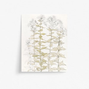 Woodland Phlox Flower Printable Antique Botanical Art door Julie de Graag | Print at Home Instant Download in 5 formaten Hoge Resolutie Wall Art