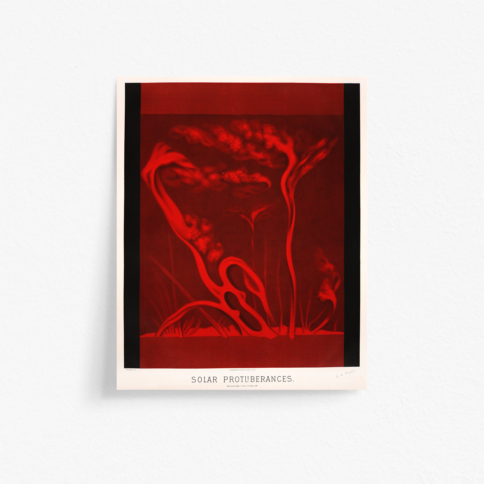 Antique Astronomy Print Printable Celestial Art | Trouvelot Solar Protuberances Solar Flare Red Sun Prominence Plasma Eruption Illustration