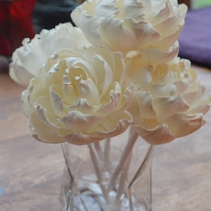 Sola Wood Diffuser Flowers - 6 Premium Duchesse Peony/Peonies with cotton rope Approx 8 cm 6 flowers