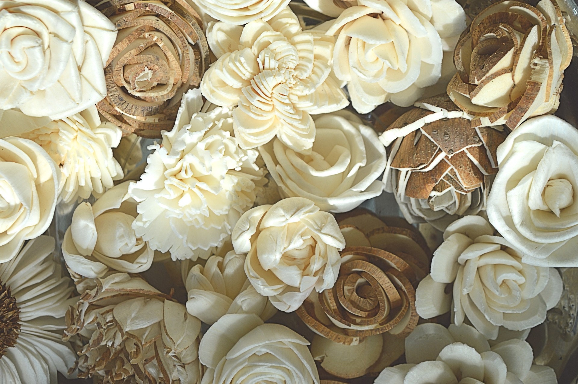 50 Flowers - Mini Sola Wood Flowers - Random Assortment - Etsy