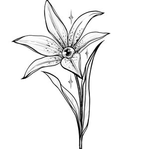 Op de afbeelding: Een zwart-witte lijntekening van een lelie met een enkel oog in het midden van de bloem. De lelie heeft een lange stengel en bladeren. Er zijn kleine sterren rond de bloem.
