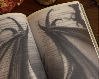 Fourth Wing Translucent Overlay Pages | Book Inserts & Vellum Overlays | Immersive Reading Experience | Translucent Tales
