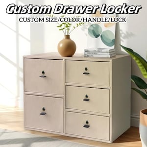 May include: A custom drawer locker with the text "Custom Drawer Locker" and "Custom Size/Color/Handle/Lock". The locker has a light beige finish with black handles and locks. A vase with greenery and a potted plant are also visible.
