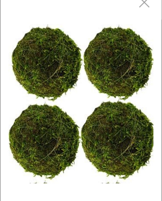 6 Moss Balls Set of 4 Etsy