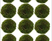 Set of 12 2 quot Moss Balls