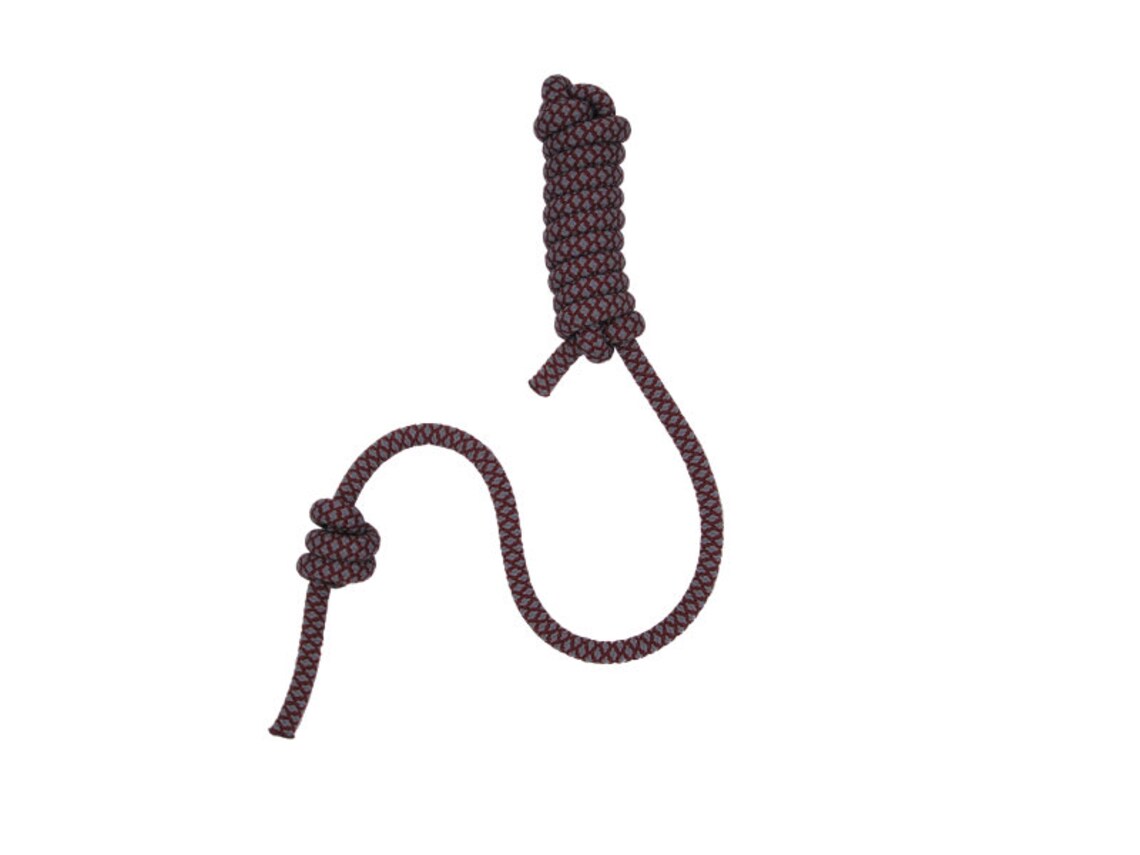 BIG DUMMY Training Toy Climbing Rope Dog Toy Etsy Norway