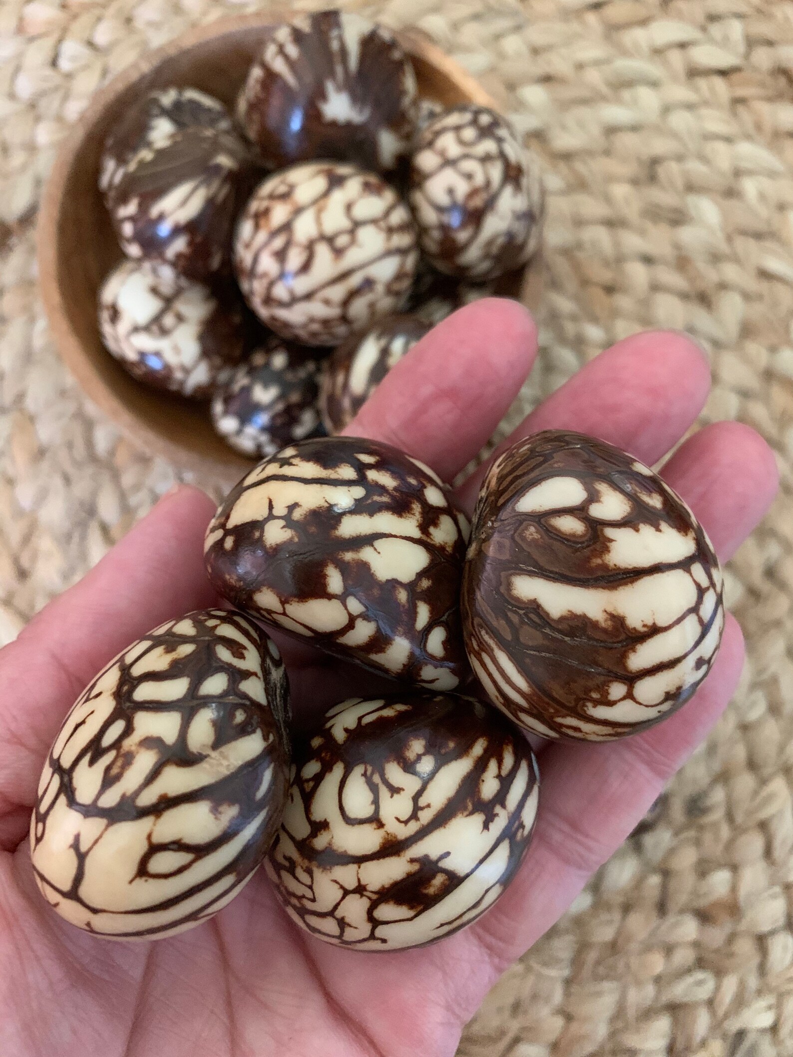 Creamy Tagua Nuts with Natural Markings Tagua Nuts Colombian Etsy