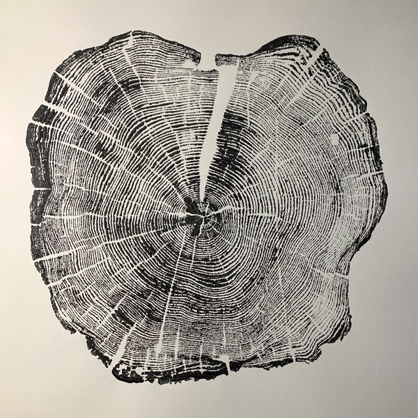 Tree Ring Art - Etsy