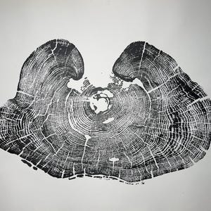 May include: Black and white print of a tree trunk cross section showing the rings. The rings are concentric circles with a dark center.