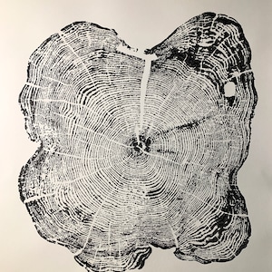 Hand Pressed Tree Ring Art Print. Cedar Tree from Drummond Island, Michigan.