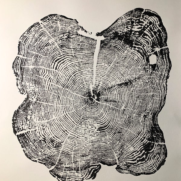 Tree Ring Wall Art Etsy