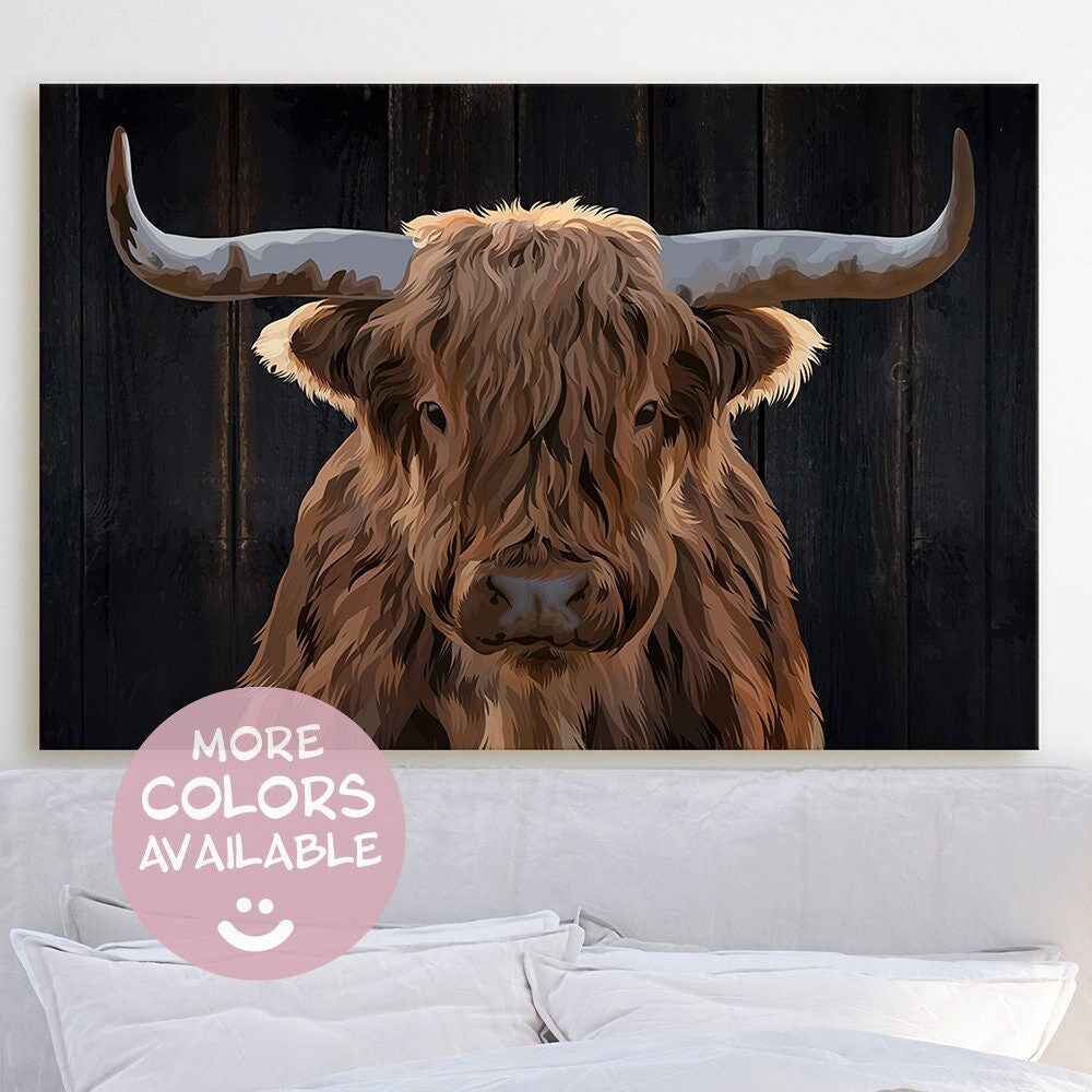 Highland Cow - 18 For Sale On | Highland Cow For Sale, Highland Cows For Sale, Highland Steers For Sale - View #5