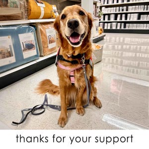 May include: A golden retriever dog wearing a pink and black harness and leash sits on a store floor. The dog is smiling with its mouth open. The text "thanks for your support" is at the bottom of the image. Shelves of bedding are in the background.