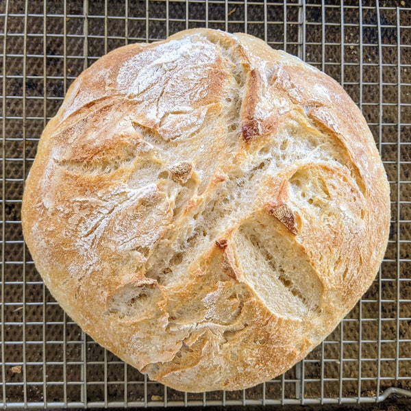 German SOURDOUGH Einkorn, Whole Wheat , Large Loaf, Handknead, Bread, Artisan Bread, Loaf Bread, Sandwich Bread, Hand-crafted Bread